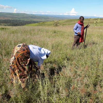 Whatsapp Image 2022 04 28 At 7.45.07 Pm