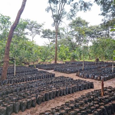 Whatsapp Image 2022 06 23 At 7.09.33 Am